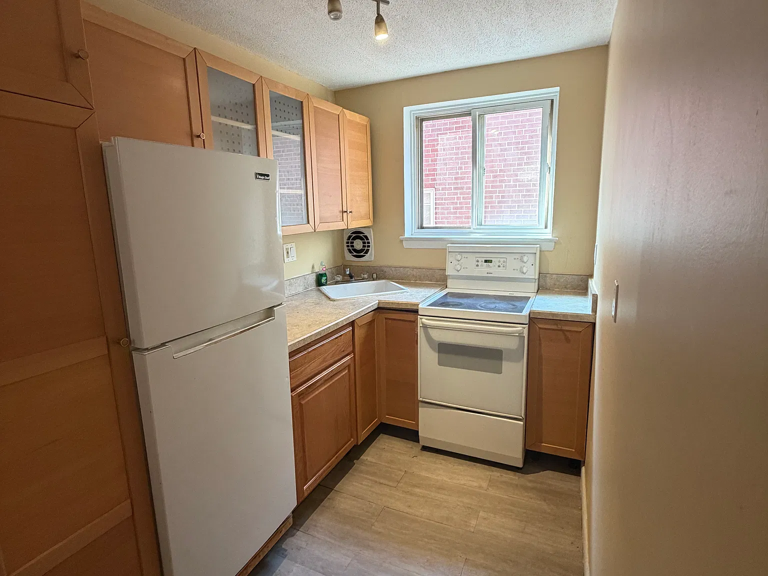 1 bed, 612 sqft, $1,300 — Photo 4