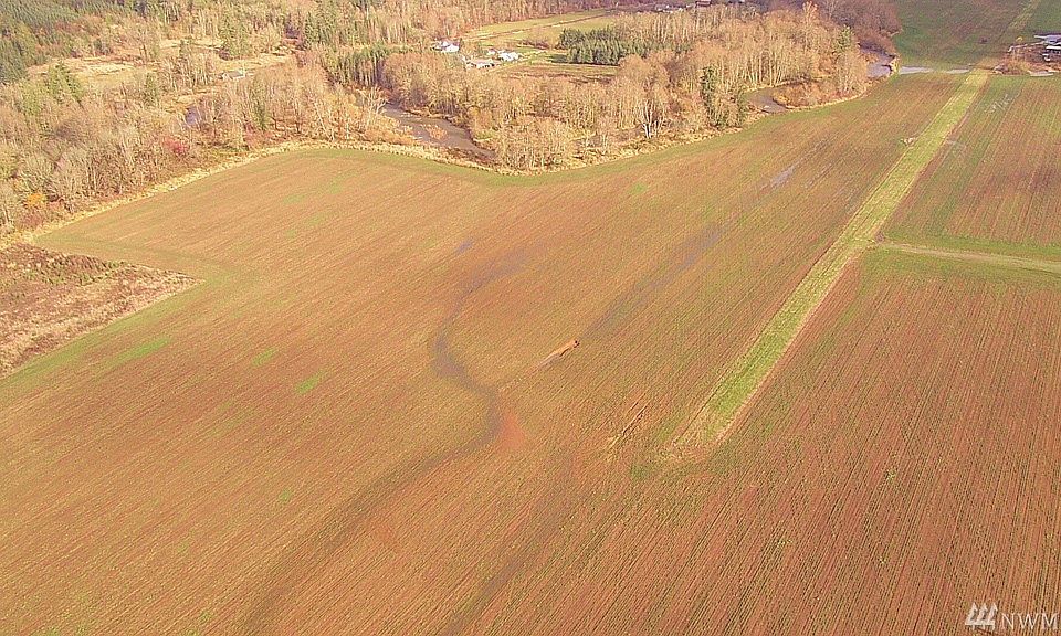 2nd image of 5 Gish Rd