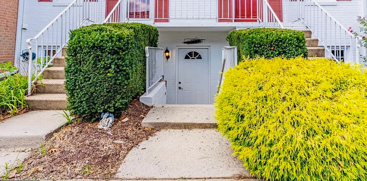 Rustling Leaves Ln, Centreville — Photo 4