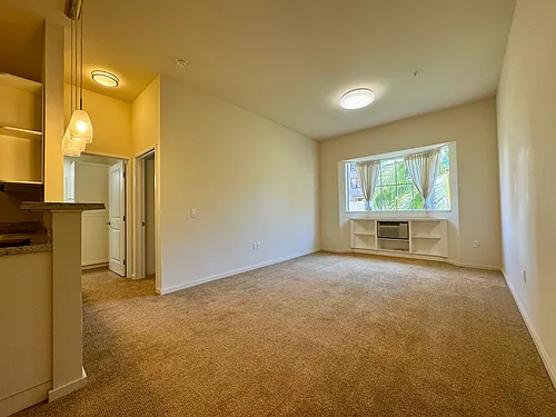 1800 Kaioo Dr #C503 Photo 1