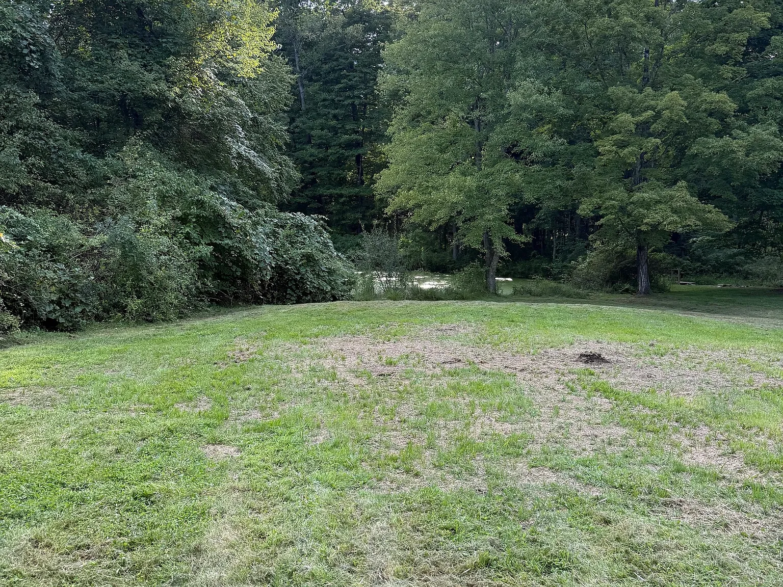 4 bed, 2.5 bath, 2060 sqft, $3,500 — Photo 4