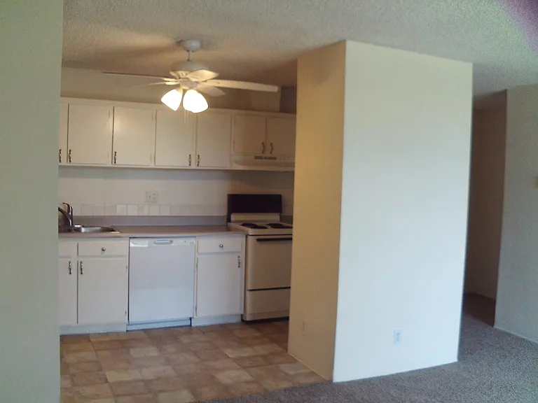3050 Rue Dorleans #355 — Photo 2