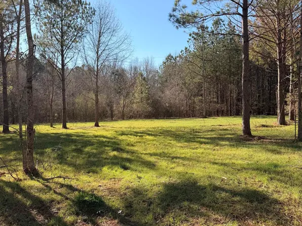 LOT-62A County Road 32, Piedmont, AL 36272