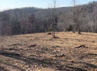 0 Honeyfork Hollow Rd LOT 101, Indian Mound, TN 37079