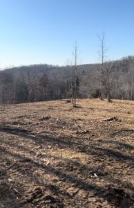 0 Honeyfork Hollow Rd LOT 101, Indian Mound, TN, 37079