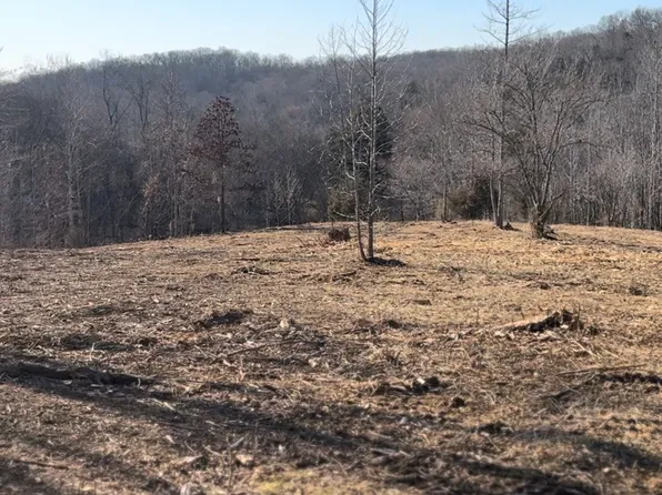0 Honeyfork Hollow Rd Lot 101, Indian Mound, TN 37079