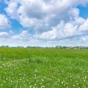 County Road 2429, Kemp, TX, 75143