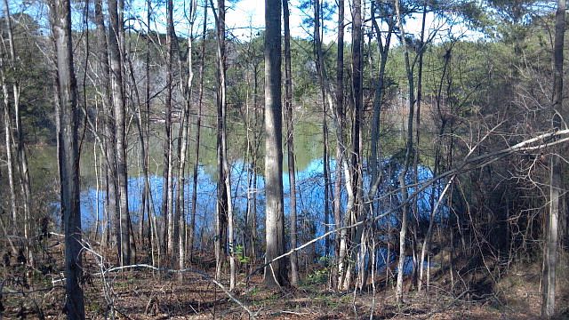 1st image of 843 Highway 131