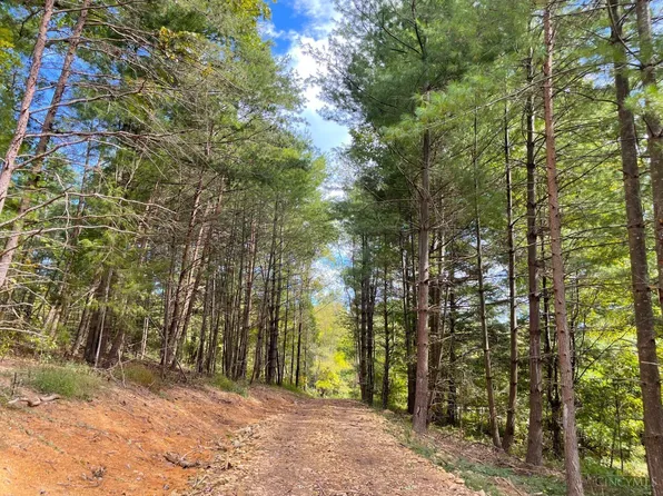 5726 State Route 781 Lot 1, Peebles, OH 45660