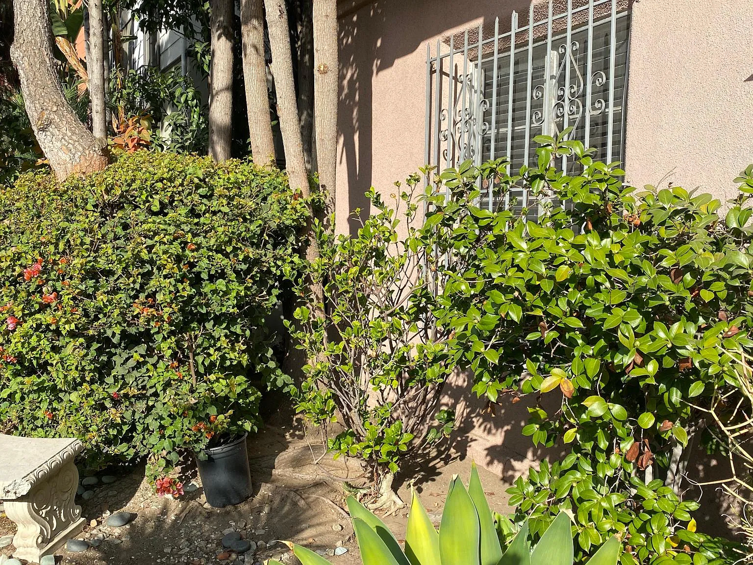 152 S Maple Dr — Photo 4