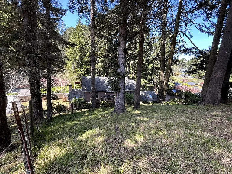 7025 London Dr — Photo 3