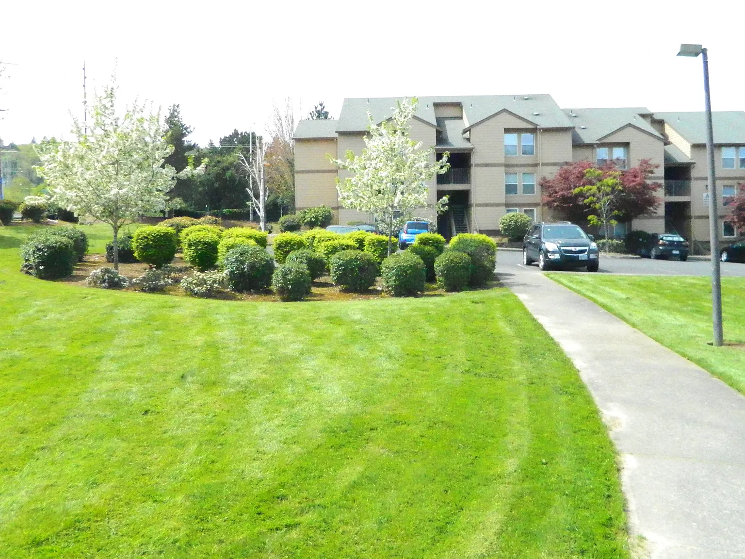 Springwater Trail Apartments — Photo 2