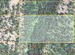 Tbd Union Ridge Rd LOT 7, Republic, WA 99166