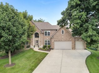 113 Meadows Ct, Oswego, IL 60543