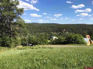 597 Harman Ave, Pagosa Springs, CO 81147