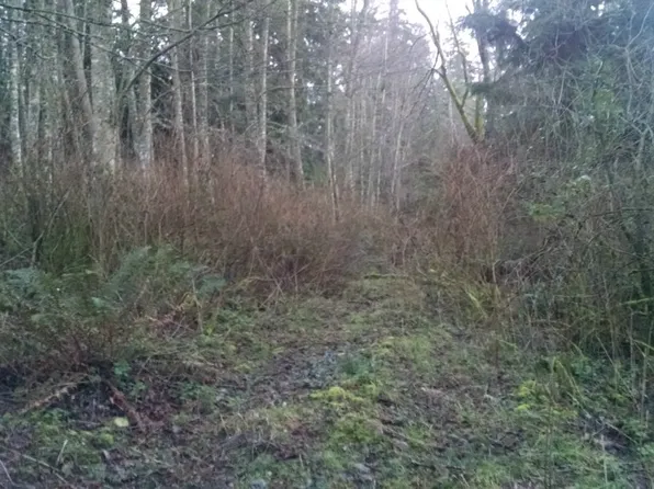 283 Parkside Dr, Camano Island, WA 98282