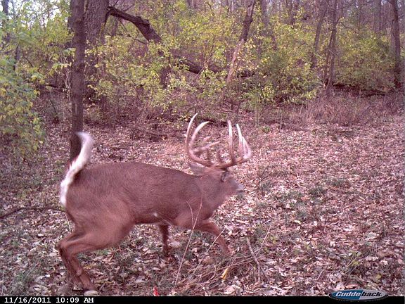 5th image of 823 Jackson Hwy