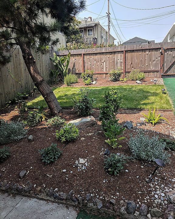 Front yard