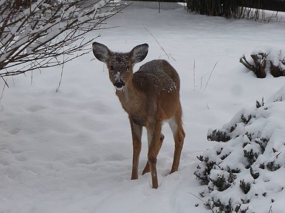 14th image of this home