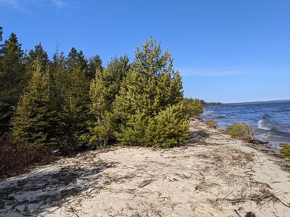 3rd image of Carnegie Woods