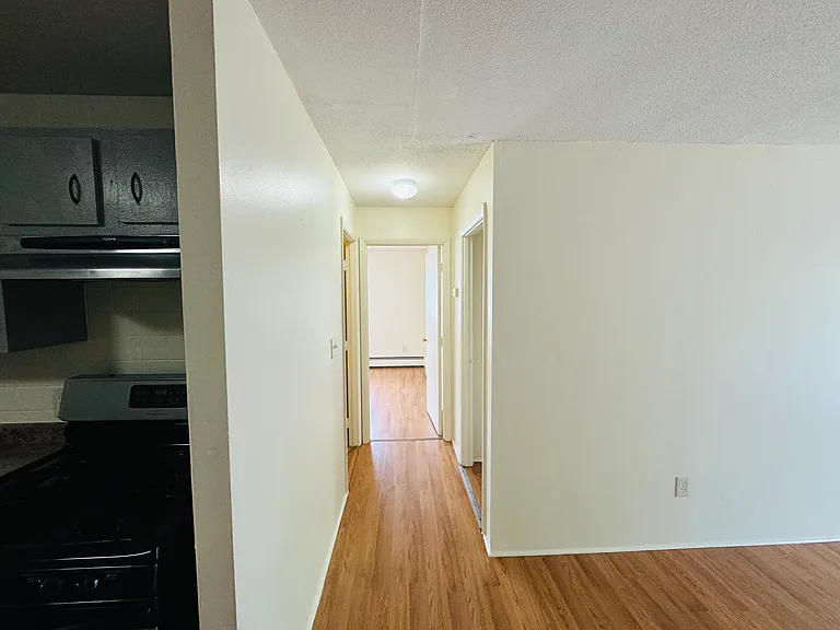 128 Mammoth Rd — Photo 6