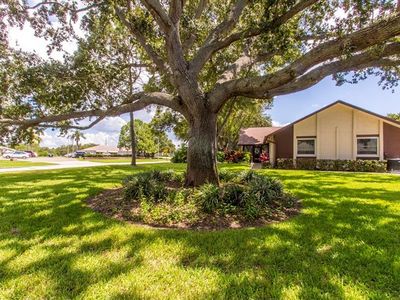 1425 Summer Isle Ct, Dunedin, FL, 34698