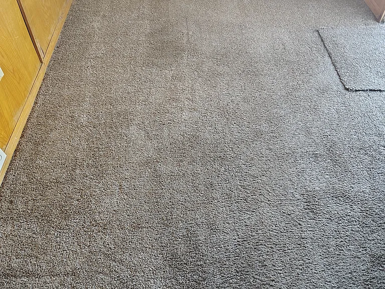 501 S Mistletoe Ave #28 — Photo 5