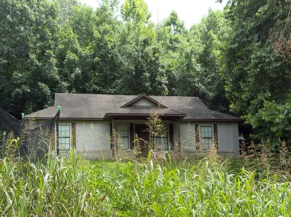 132 Lacretia Ln, Pocahontas, AR 72455