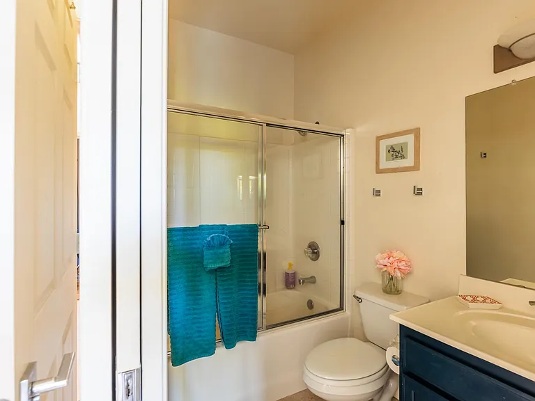 Dusty Rose Dr — Photo 35