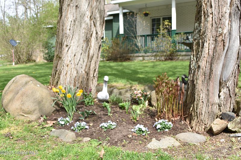 3rd image of 449 Maple Avenue