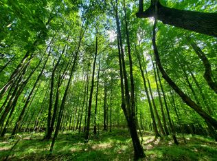 1 Wausau Rd, Cadott, WI 54727