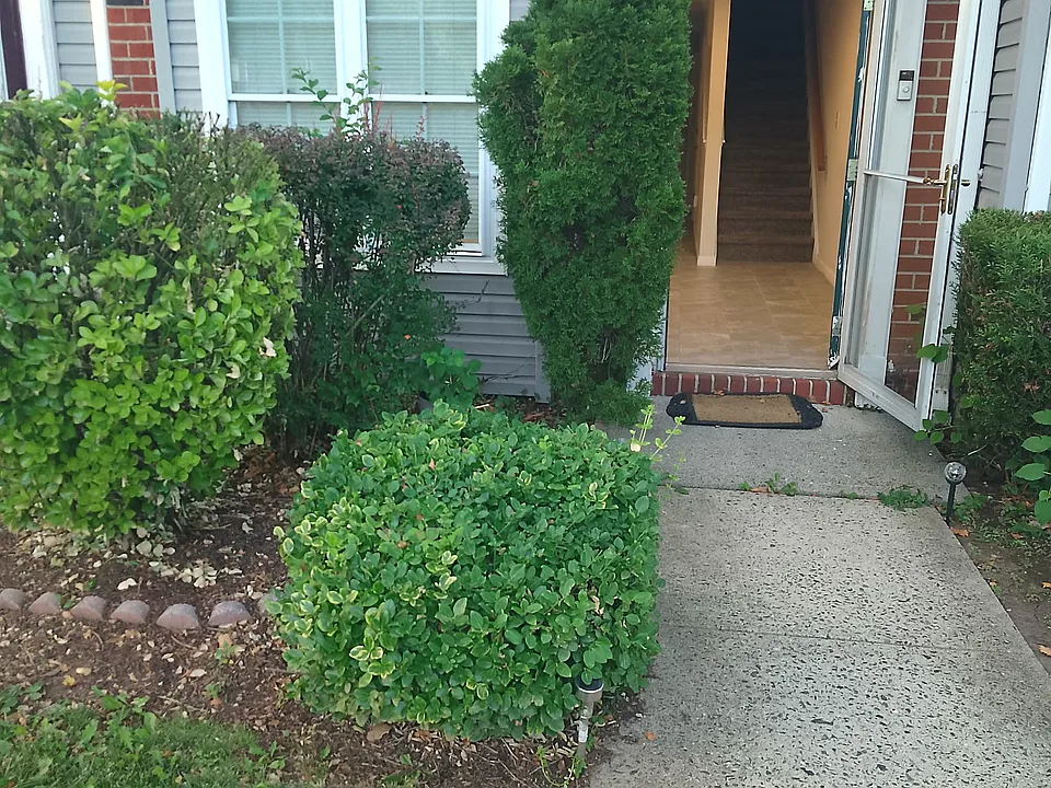 11 Clarion Ln #1