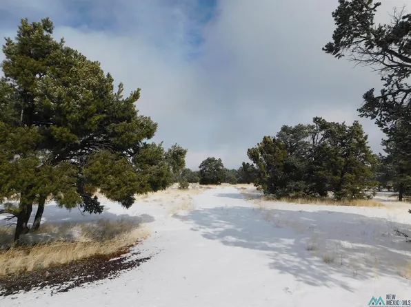 28 Spring Canyon Cir, Quemado, NM 87829