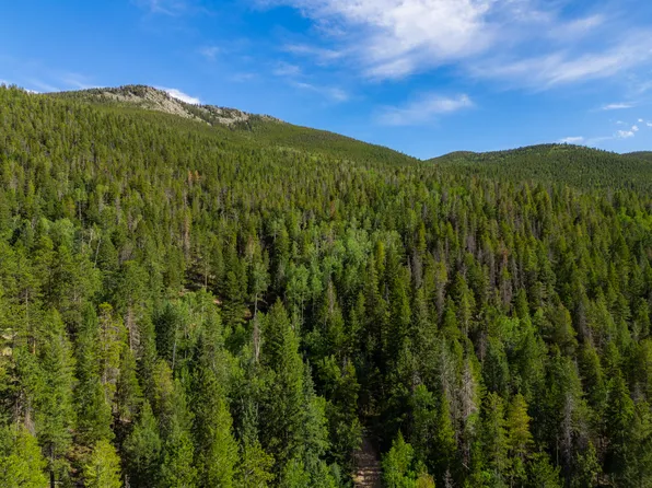 Tbd Twin Spruce Rd, Golden, CO 80403