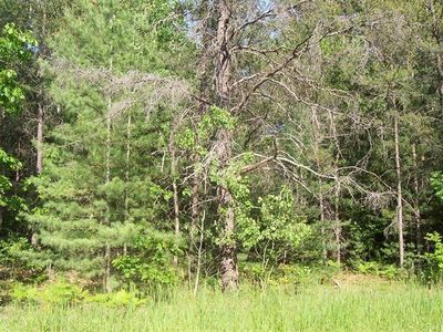 4477 Fisher Trl, Indian River, MI, 49749