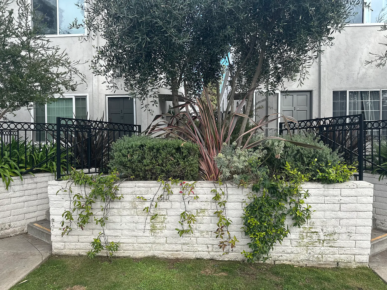 2 bed, 1.5 bath, 793 sqft, $3,500 — Photo 3