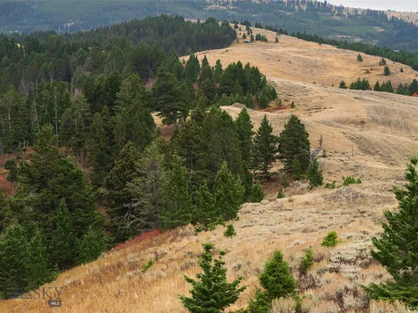 Alpine Springs Trl, Livingston, MT 59047