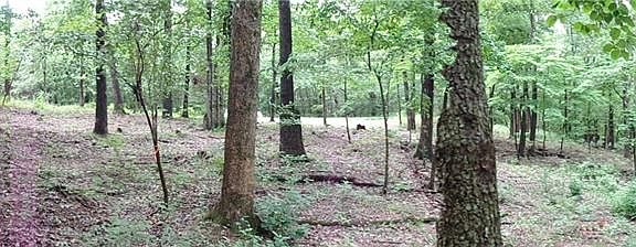 2nd image of Clivenden Ln