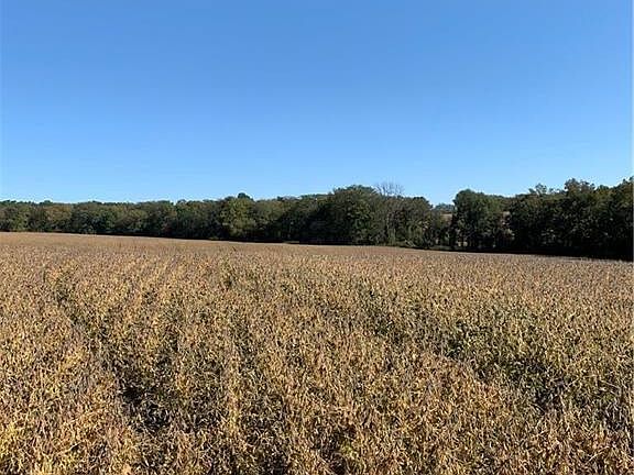 5th image of 7915 County Road 216