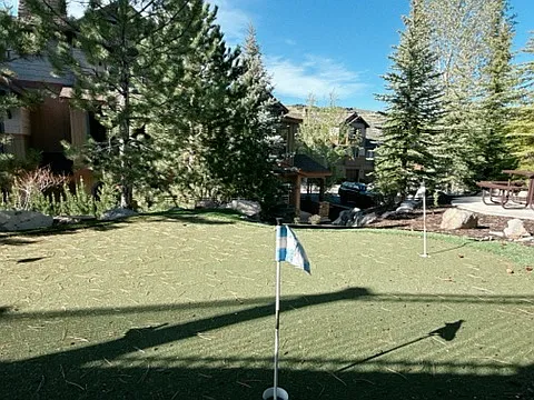 Outdoor Golf Putting Green