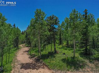 228 Worley Rd, Divide, CO 80814