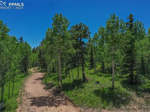 228 Worley Rd, Divide, CO 80814