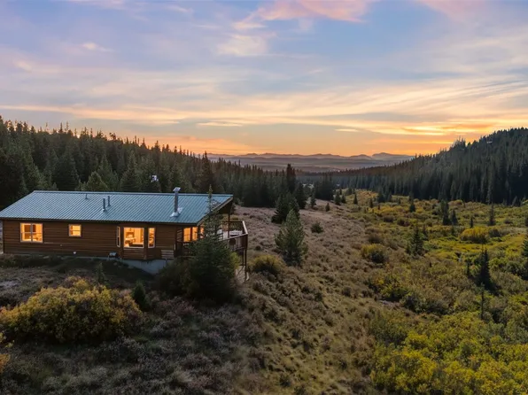 162 S Silk Sisters Pl, Fairplay, CO 80440