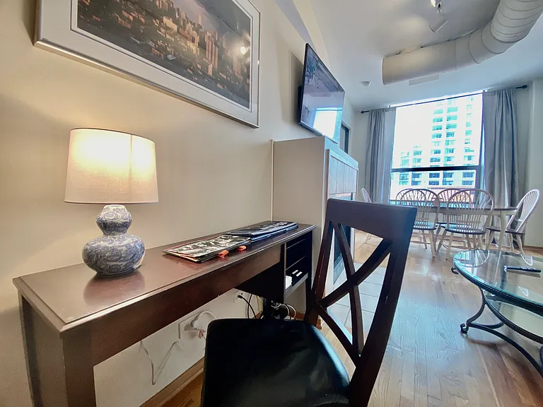 910 S Michigan Ave #1308 — Photo 10