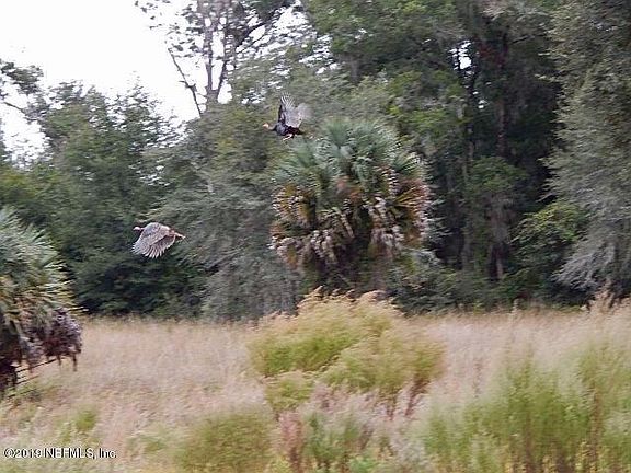 2nd image of 101 Mill St