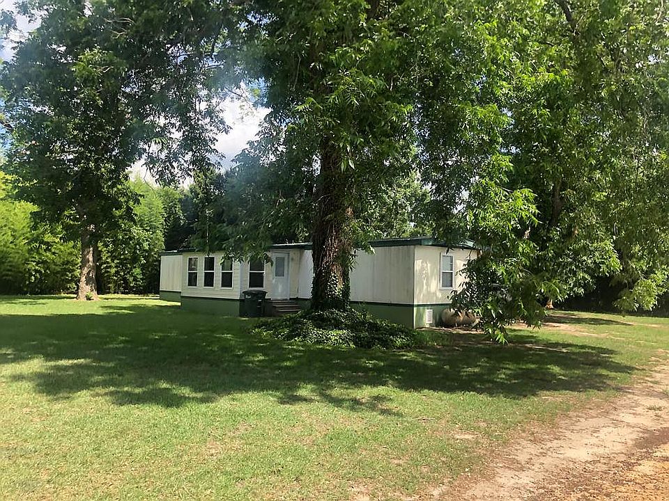   Hidden among bamboo forest