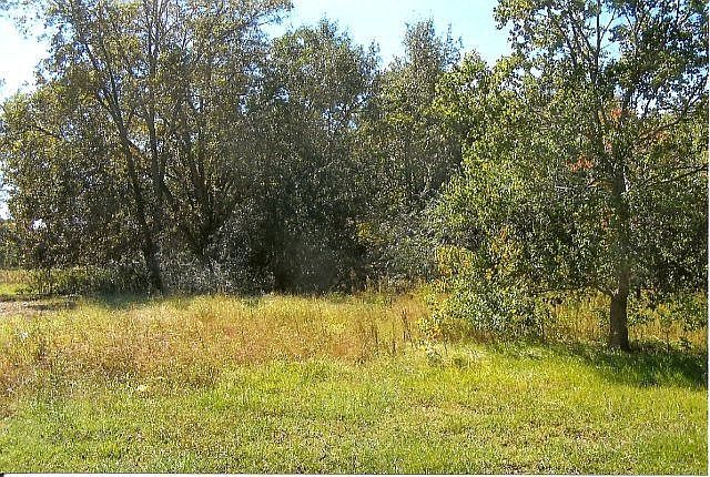 2nd image of 627 Oj Jacobs Rd