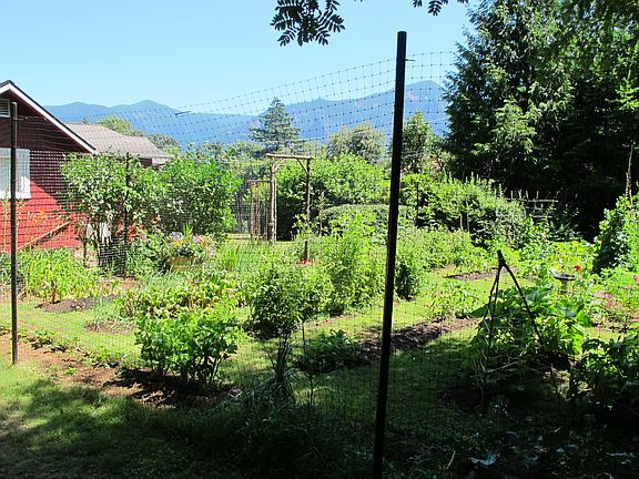 Veggie Garden and View