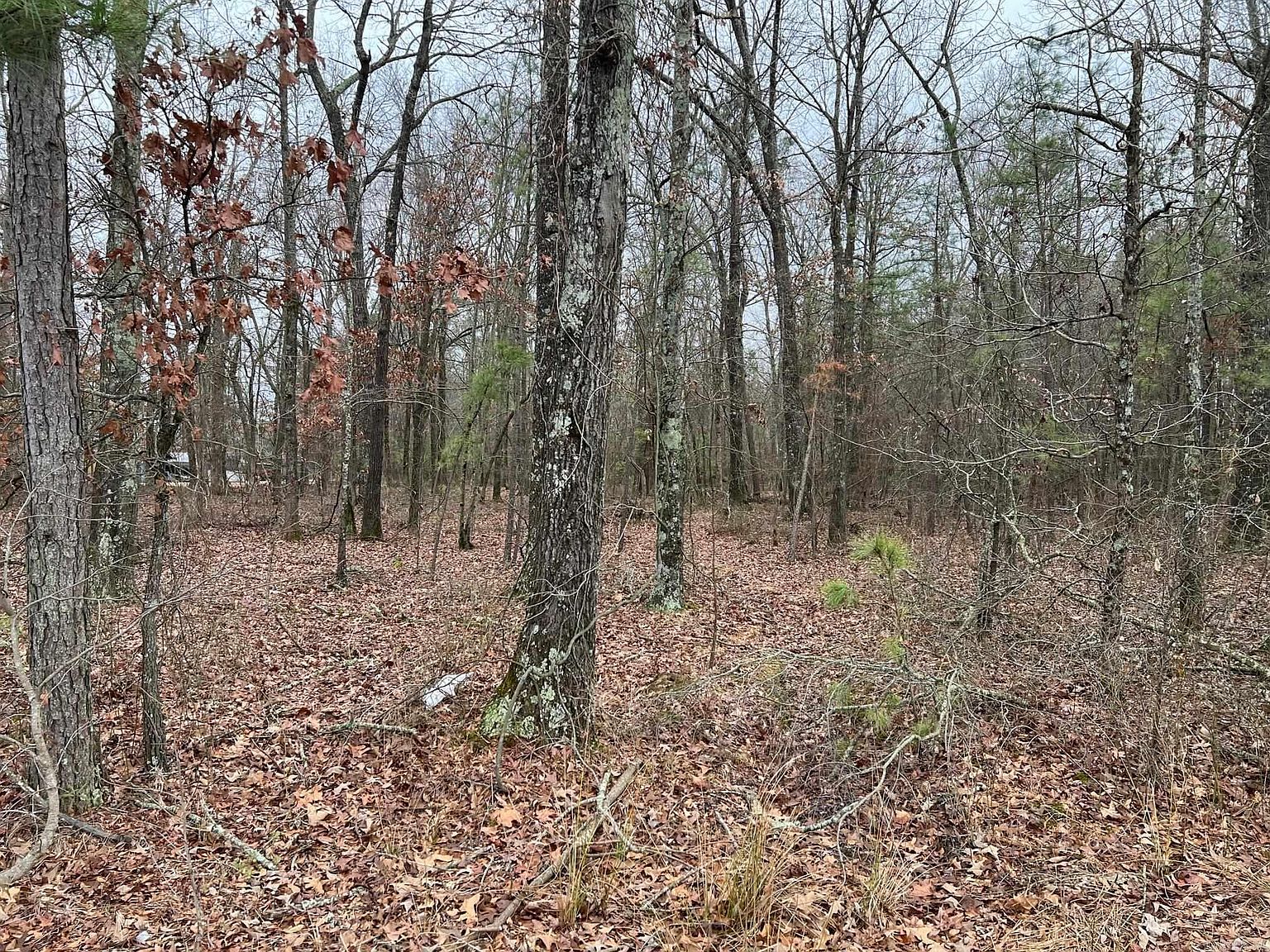 0 Ridgway Rd, Pine Bluff AR - Owner Finance Home