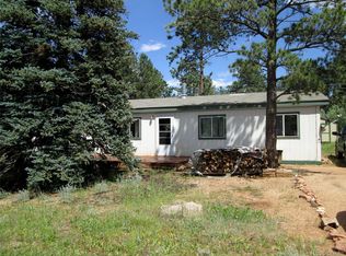 20 Green St, Bailey, CO 80421